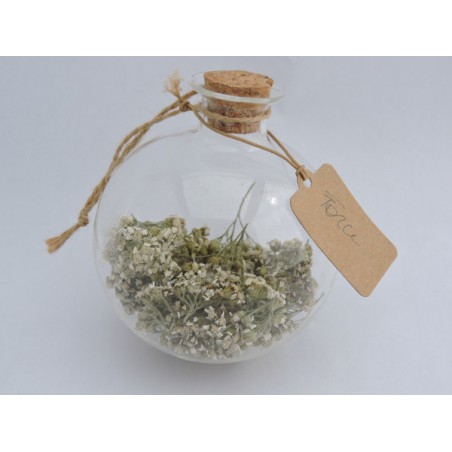 Yarrow lucky ball - Strength | Madame Framboise Yarrow lucky ball - Strength | Madame Framboise