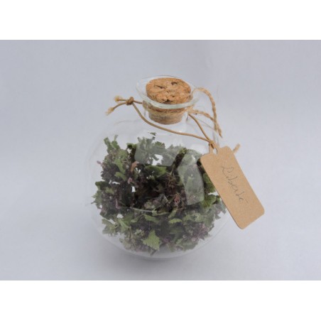 Red deadnettle lucky ball - Freedom | Madame Framboise Red deadnettle lucky ball - Freedom | Madame Framboise