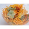 Pot Marigold decorative glass ball | Madame Framboise