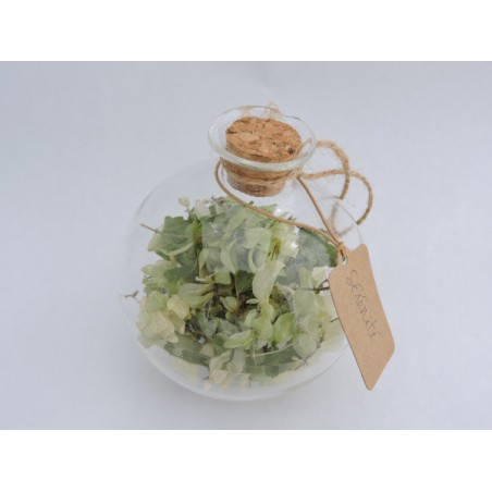 Hop lucky ball - Serenity | Madame Framboise Hop lucky ball - Serenity | Madame Framboise