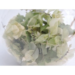 Hop decorative glass ball | Madame Framboise