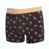 Boxer Camel- Billybelt