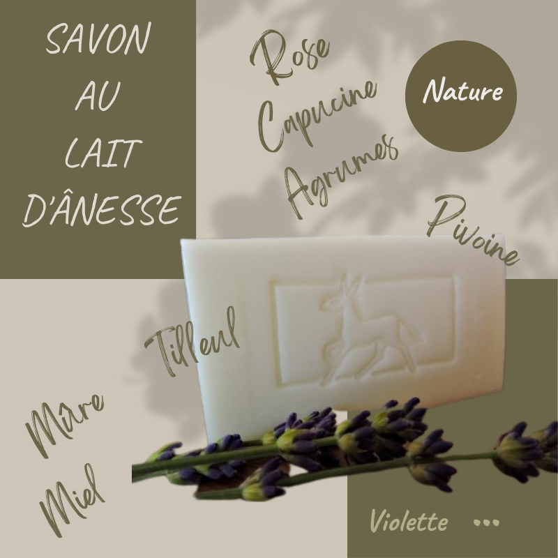 Savon au lait d'ânesse